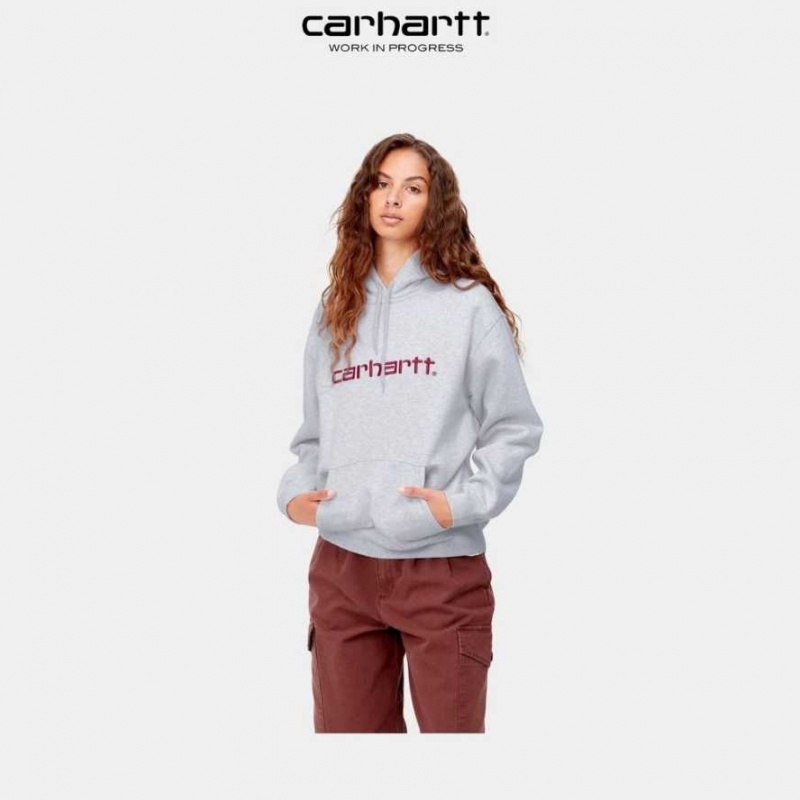 Ash Heather / Rocket Carhartt Wip Encapuchonné Sweatshirt Ash Heather / - Danmark IQB-6939821