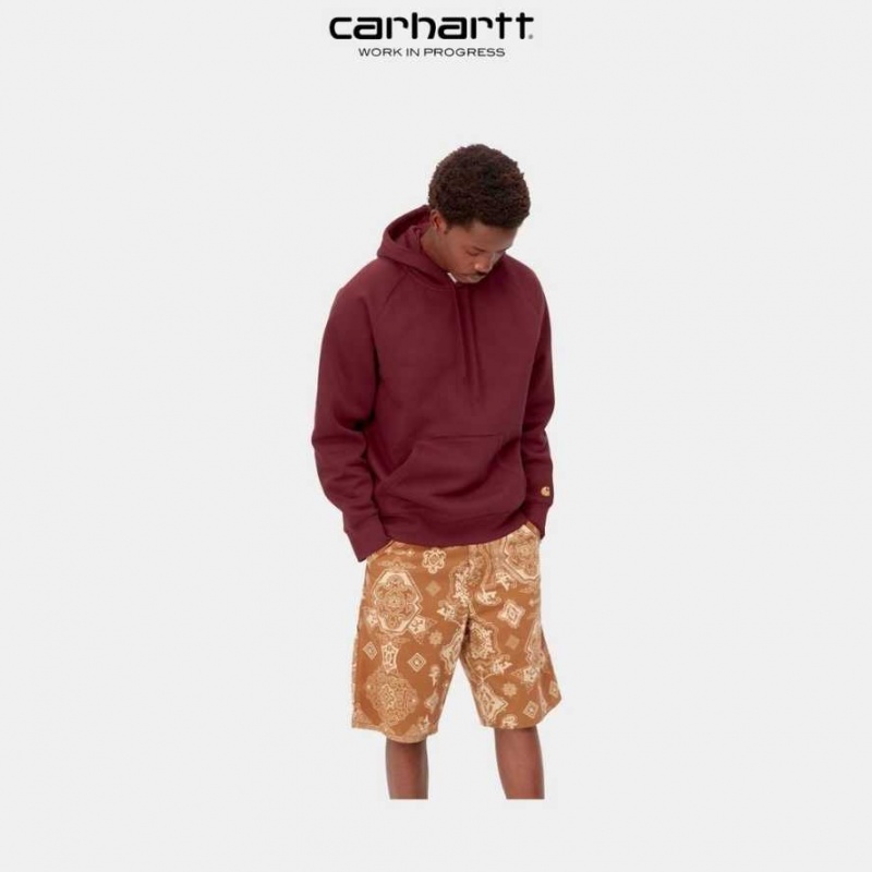 Corvina Carhartt Wip Encapuchonné Chase Sweatshirt - Danmark YLE-9702045