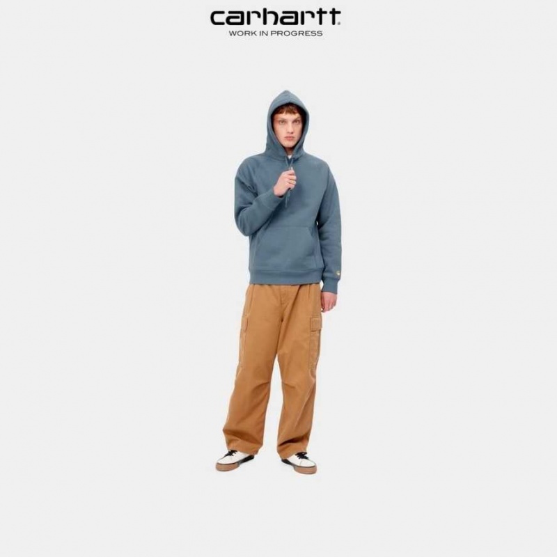 Bleu Carhartt Wip Encapuchonné Chase Sweatshirt - Danmark FFZ-3110554