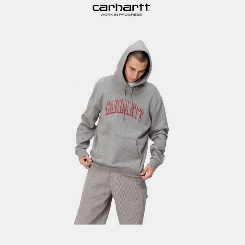 Grise Carhartt Wip Encapuchonné Scrawl Sweatshirt - Danmark VWY-8893795