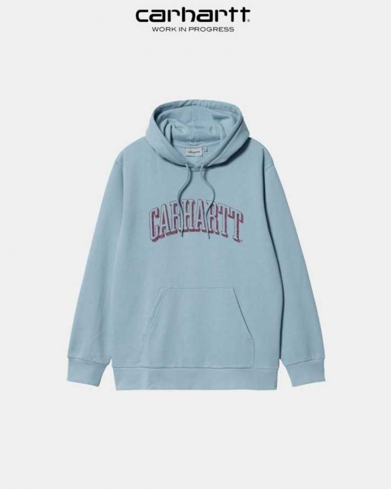 Misty Sky Carhartt Wip Encapuchonné Scrawl Sweatshirt Misty - Danmark QKF-9349747