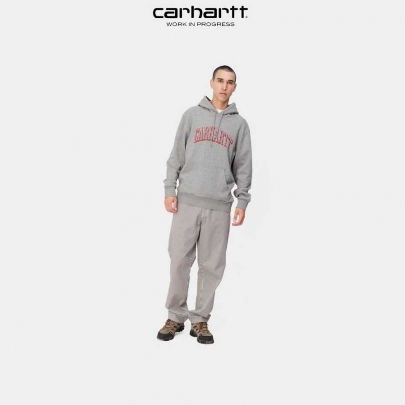 Grise Carhartt Wip Encapuchonné Scrawl Sweatshirt - Danmark VWY-8893795