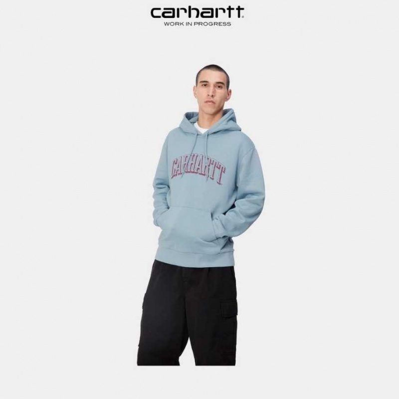 Misty Sky Carhartt Wip Encapuchonné Scrawl Sweatshirt Misty - Danmark QKF-9349747