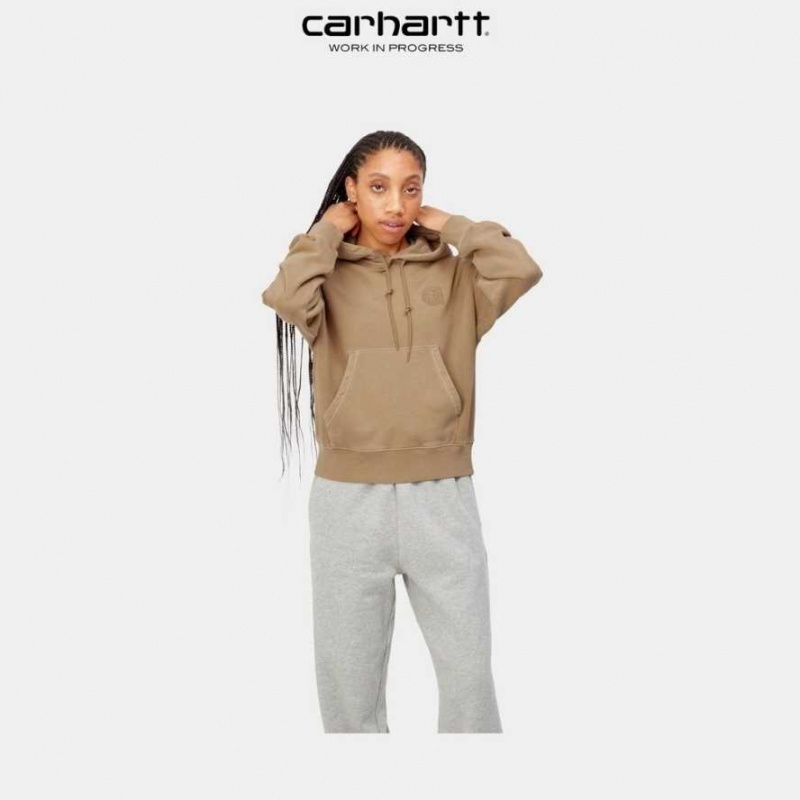 Marron Carhartt Wip Encapuchonné Verse C Sweatshirt - Danmark PWA-8768547