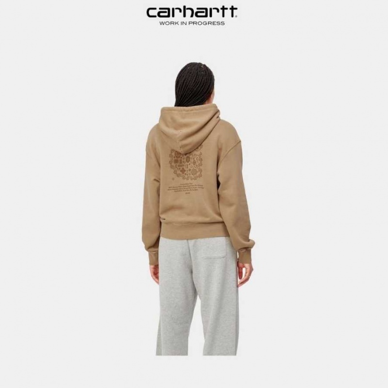 Marron Carhartt Wip Encapuchonné Verse C Sweatshirt - Danmark PWA-8768547