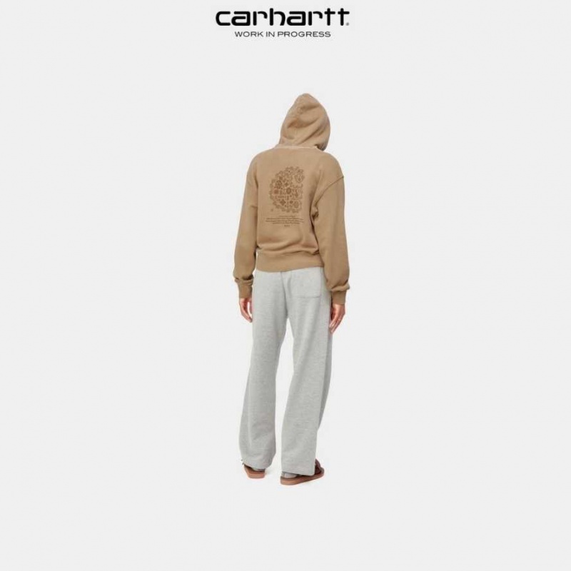 Marron Carhartt Wip Encapuchonné Verse C Sweatshirt - Danmark PWA-8768547