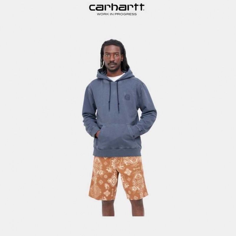 Enzian Carhartt Wip Encapuchonné Verse Patch Sweatshirt - Danmark UJQ-9019300