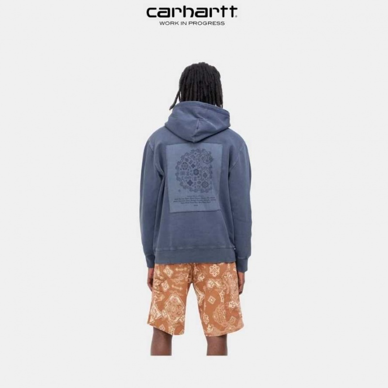 Enzian Carhartt Wip Encapuchonné Verse Patch Sweatshirt - Danmark UJQ-9019300