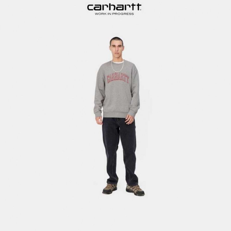 Grise Carhartt Wip Scrawl Sweatshirt - Danmark NWP-0918509