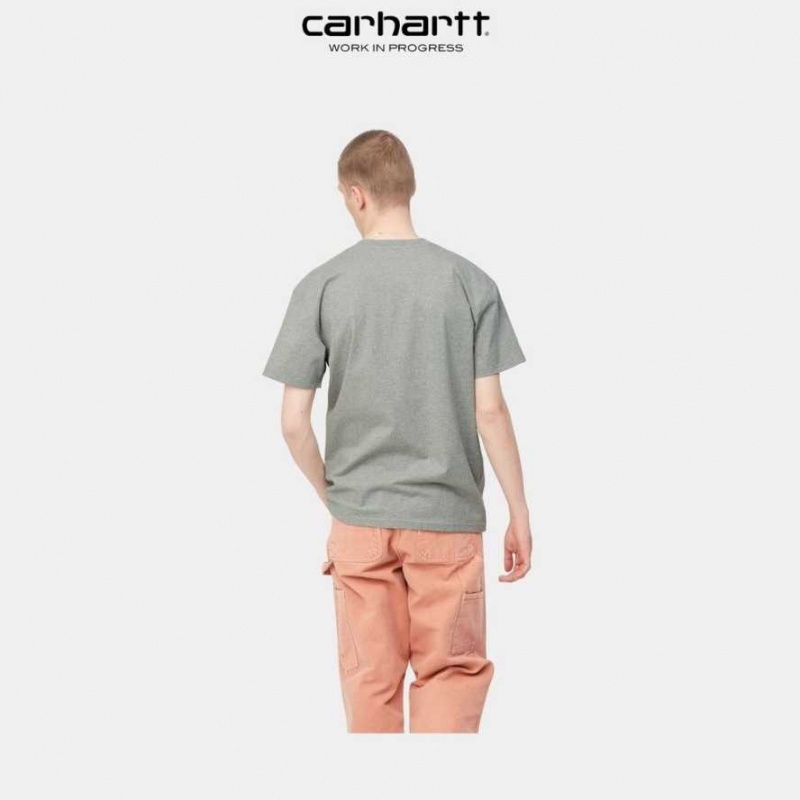 Grise Carhartt Wip American Script T-Shirt - Danmark CCJ-9033776