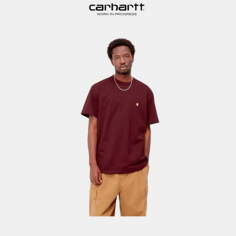 Corvina Carhartt Wip Chase T-Shirt - Danmark DIL-3517339