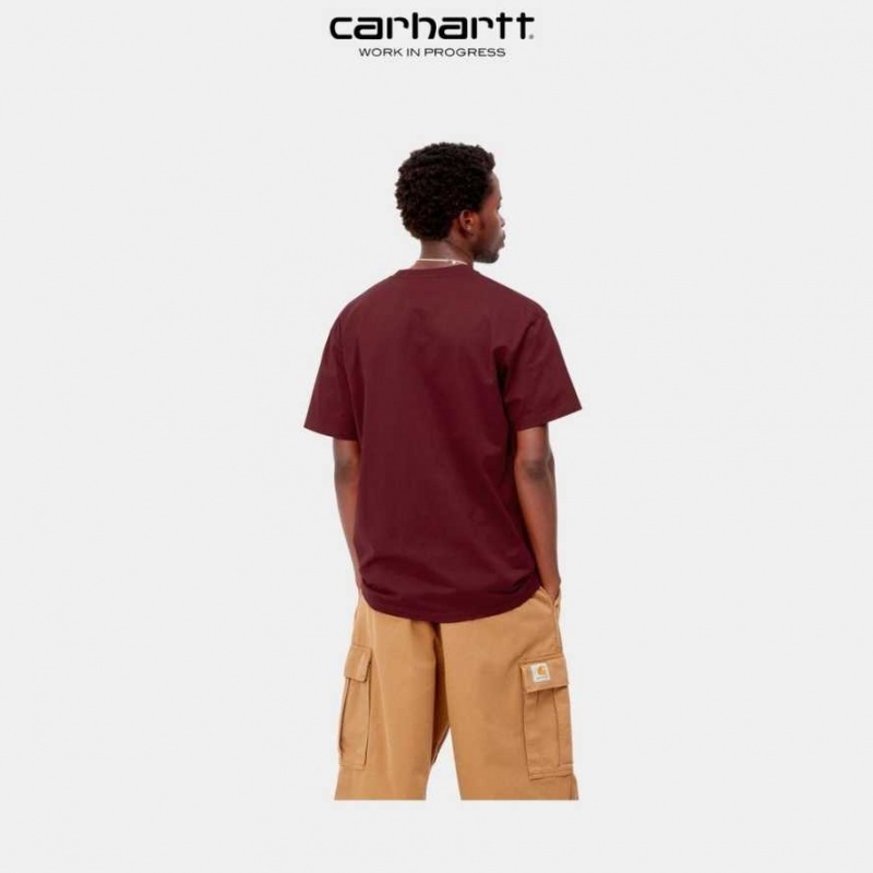 Corvina Carhartt Wip Chase T-Shirt - Danmark DIL-3517339