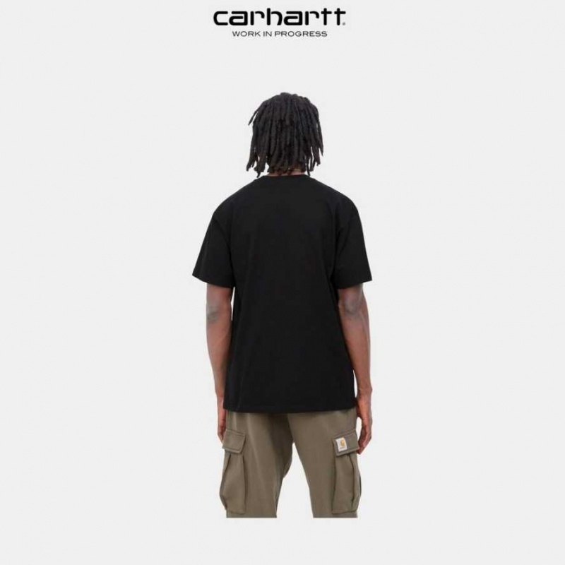 Noir Carhartt Wip Duck Pond T-Shirt - Danmark VJV-4222906