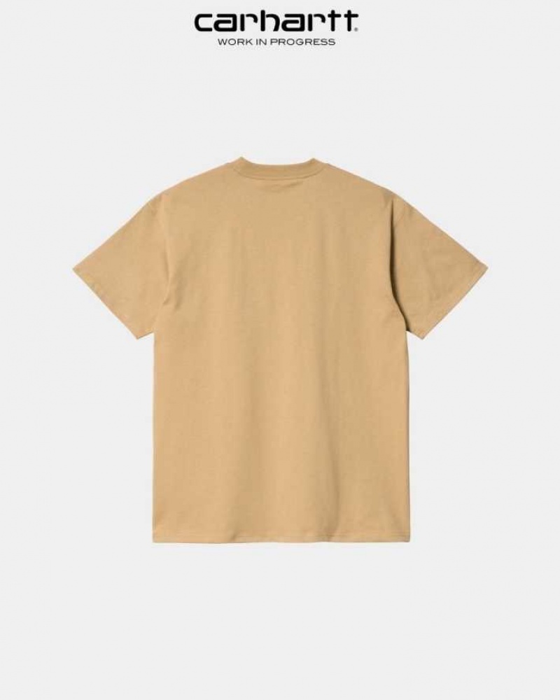 Marron Carhartt Wip Lucky Painter T-Shirt - Danmark NRS-7355415