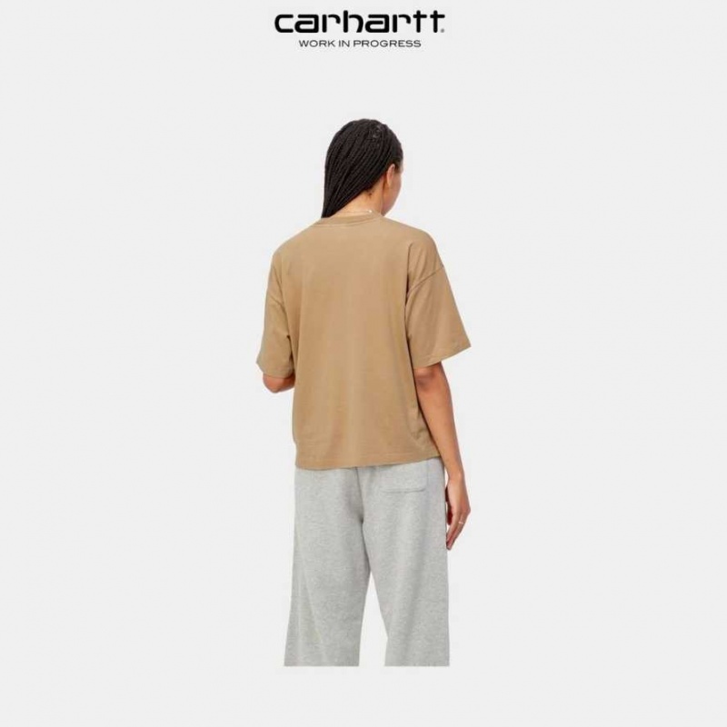 Marron Carhartt Wip Nelson T-Shirt - Danmark OLL-4396700