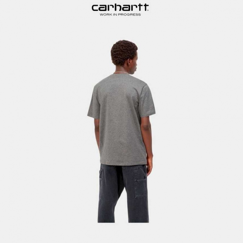 Grise Foncé Carhartt Wip Sound Experience T-Shirt Grise - Danmark ITU-9363556