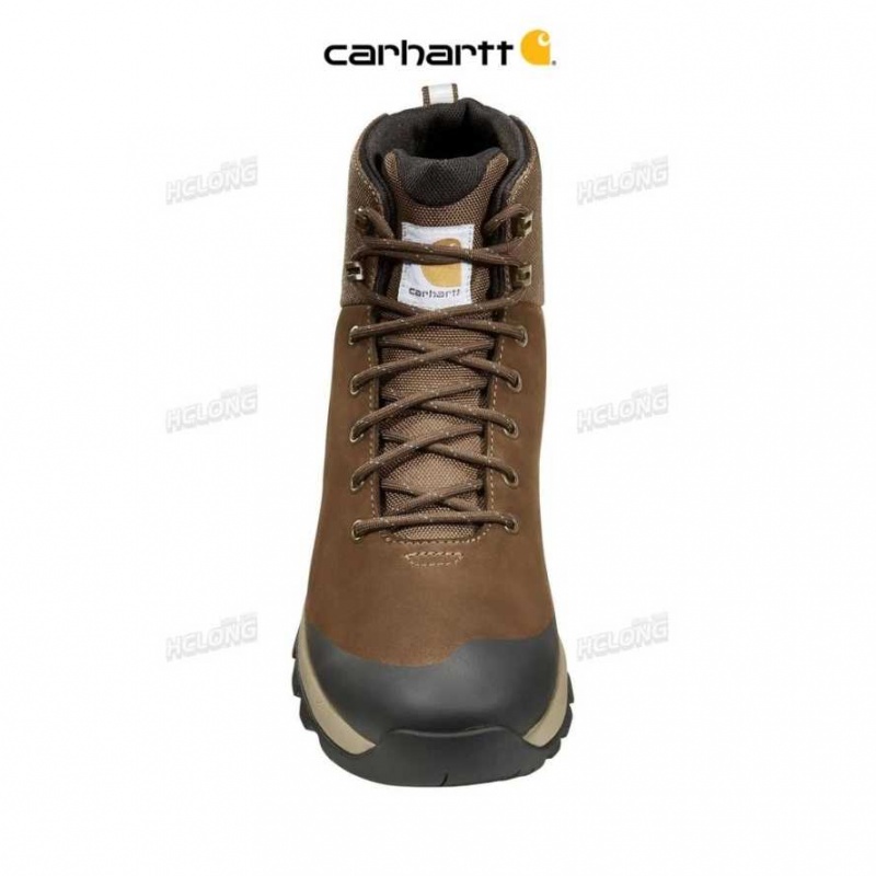 Marron Foncé Carhartt 5-Inch Alloy Embout Hiker Boot Marron - Danmark QWC-9620824