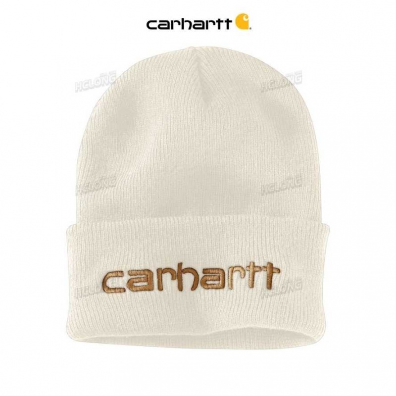 Blanche Carhartt Knit Insulated Logo Graphique Cuffed Beanie - Danmark WBY-0973696